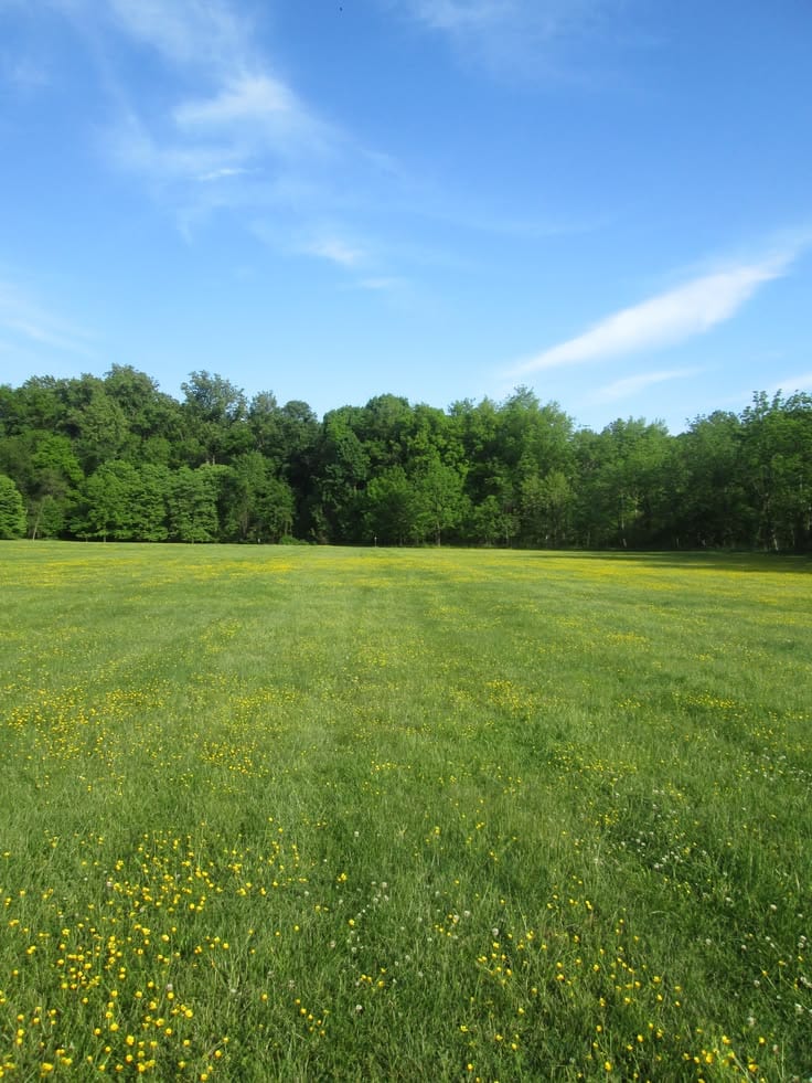Prime Location Available Plot For Sale — 1 / 1
