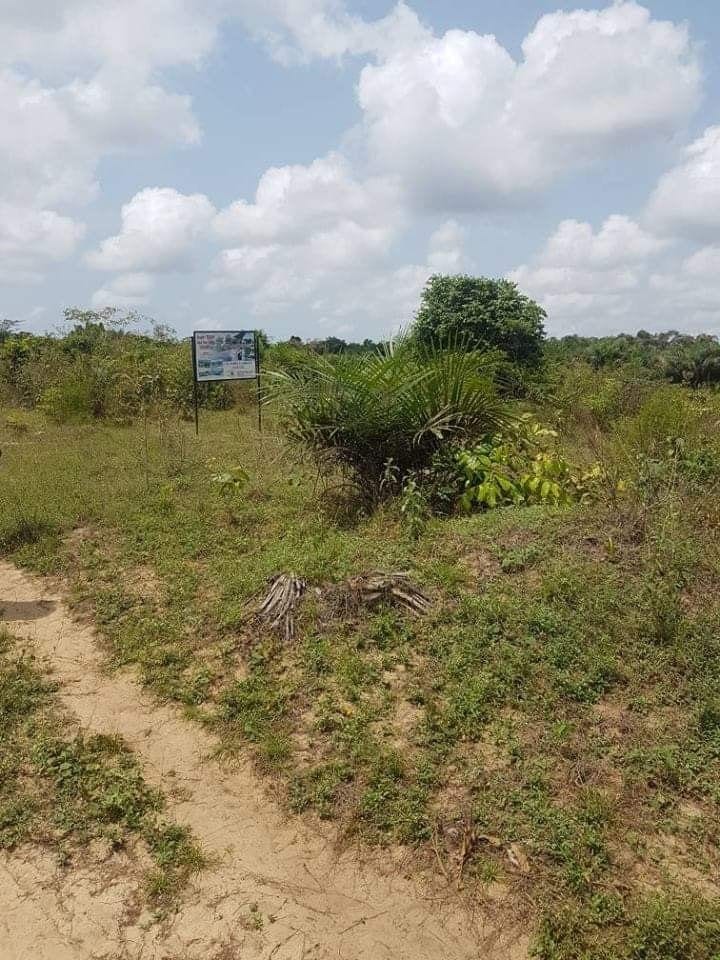 05 Marla Plot For Sale In Citi Housing Multan Phase 2 — 1 / 1