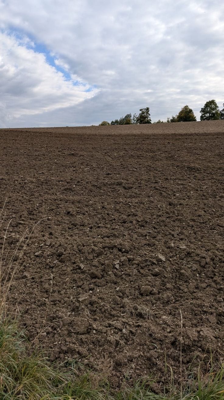 Prime Location Plot For Sale In Sector D — 1 / 1