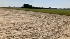 5.5 Acre Industrial Land For Sale On Sadaqat Bypass Faisalabad Ring Road — 1 / 1