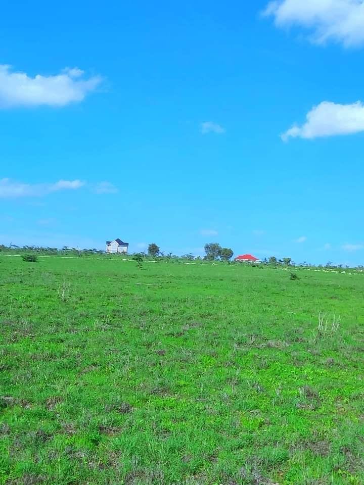 Ideal Residential Plot For sale In DHA Phase 1 - Sector B1 — 1 / 1