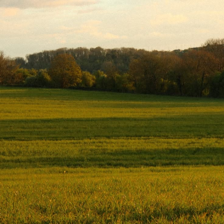 Prime Location 10 Marla Residential Plot Is Available For sale — 1 / 1