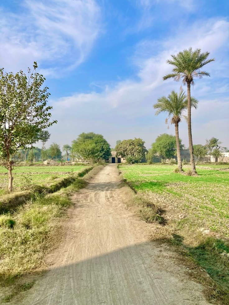 Unoccupied Residential Plot Of 7 Marla Is Available For Sale In Multan Public School Road — 1 / 1