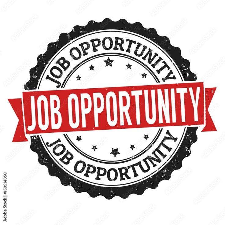 Data Entry Expert Required | Data Entry Operator | Jobs In Lahore — 1 / 1
