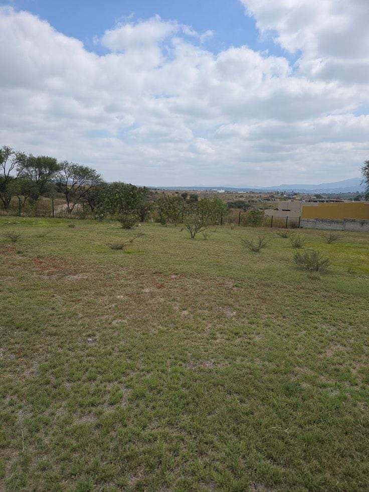 A 20 Marla Residential Plot Located In Royal Orchard Is Available For sale — 1 / 1