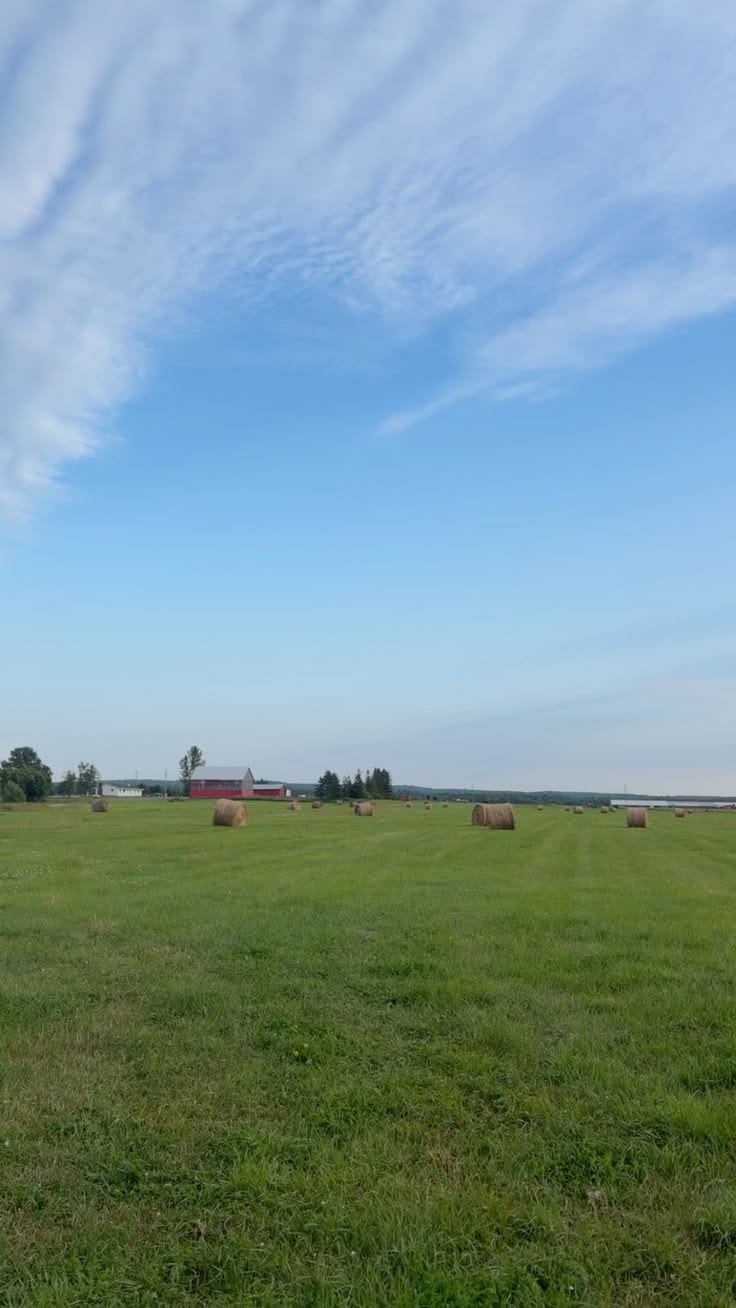 Prime Location Residential Plot For sale In Beautiful Wapda Town Phase 1 - Block E — 1 / 1
