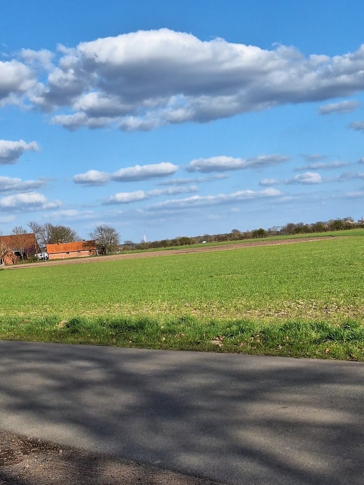 5 Marla Plot For Sale With Multiple Category's Best Location — 1 / 1