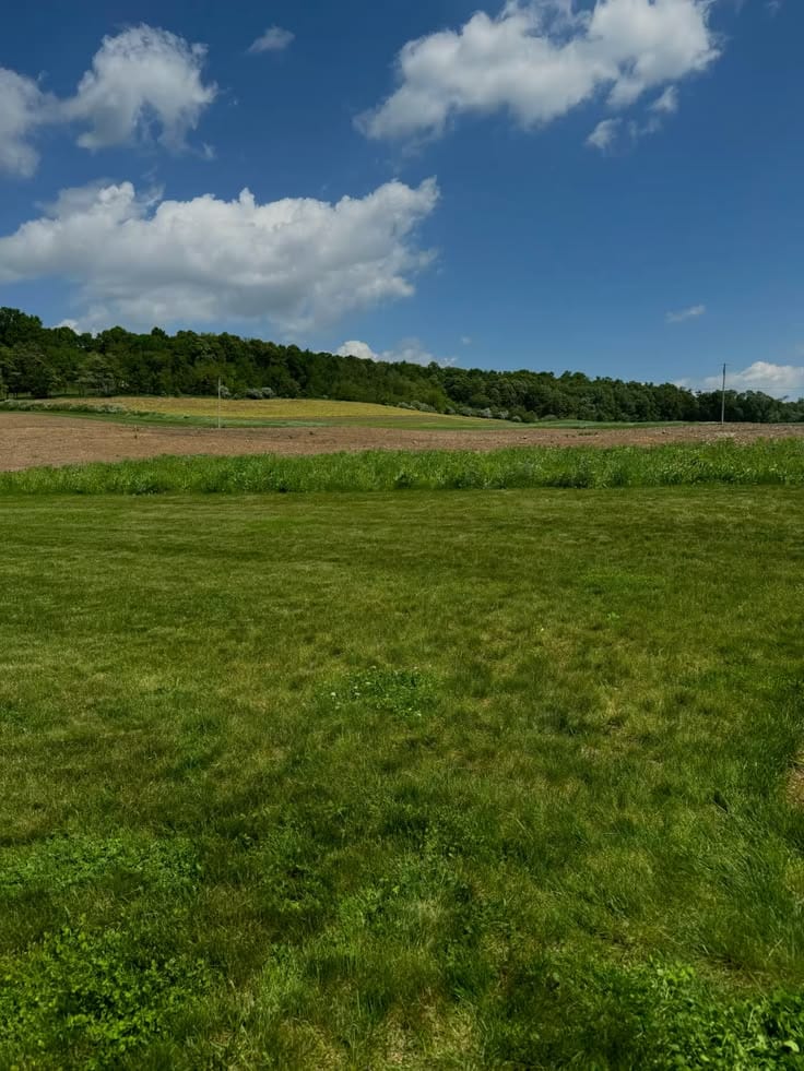 Prime Location Affordable Residential Plot For Sale In Dream Gardens - Phase 2 (Inter City) — 1 / 1