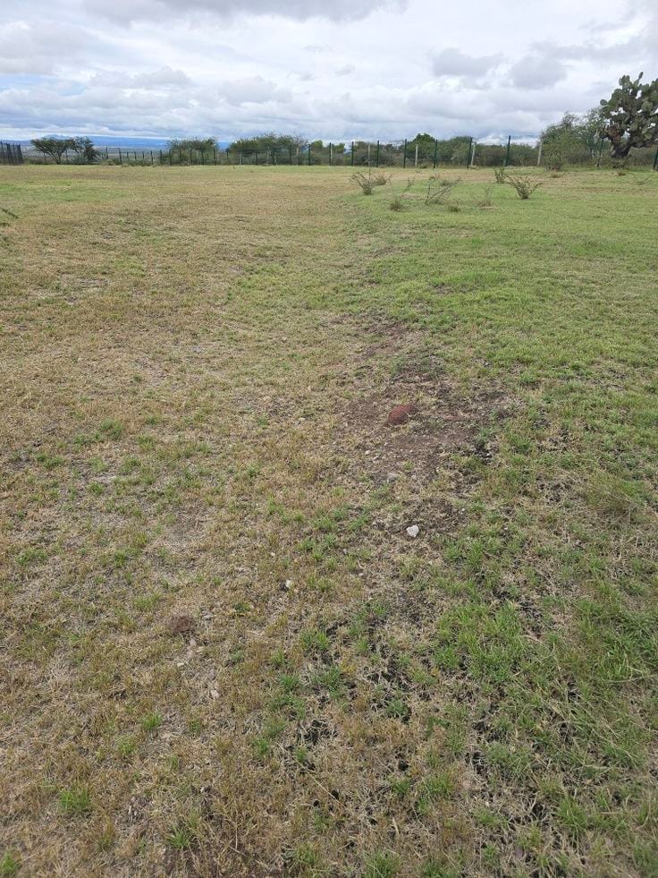 10 Marla Plot North Direction Park View Direct Access From 250ft Road — 1 / 1