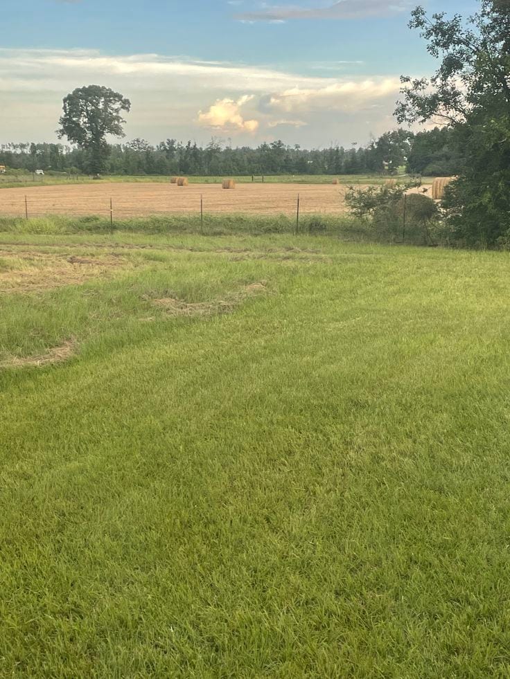 Prime Location Plot Available For Sale — 1 / 1