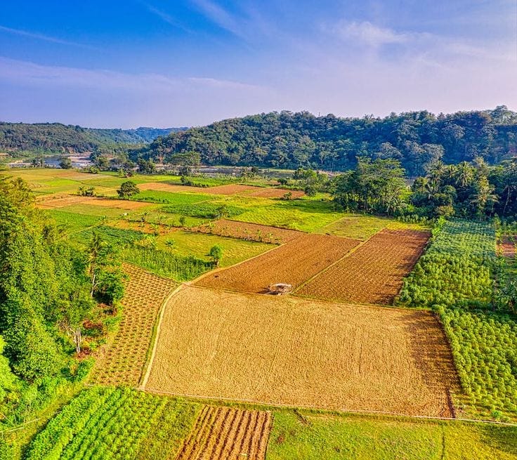 Avail Yourself A Great Prime Location 5 Marla Residential Plot In Citi Housing - Block A — 1 / 1