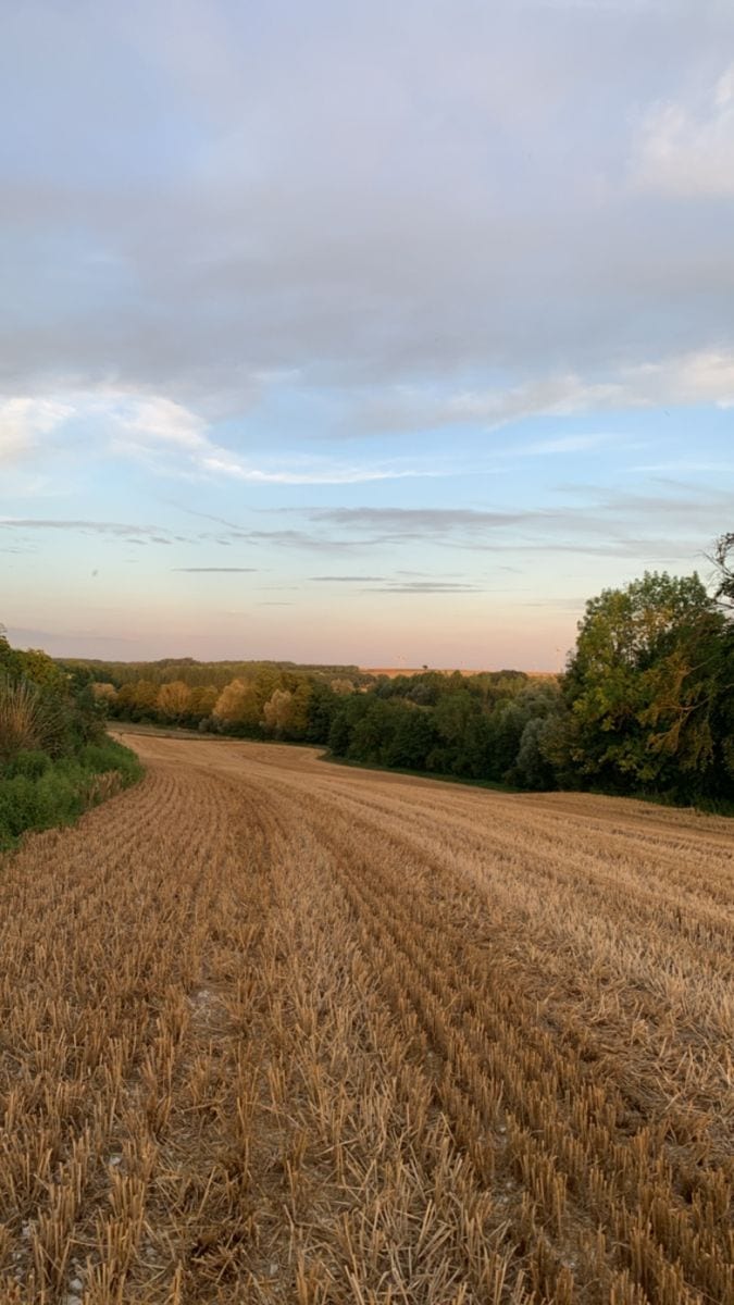 Prime Location Citi Housing - Block C Residential Plot Sized 5 Marla — 1 / 1