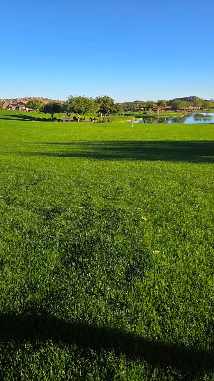 B-1416 ( 10Marla ) corner extra Land 80ft facing — 1 / 1