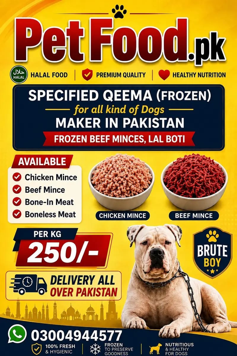 Premium Raw Dog Food – Fresh & Healthy Pet Nutrition — 1 / 1