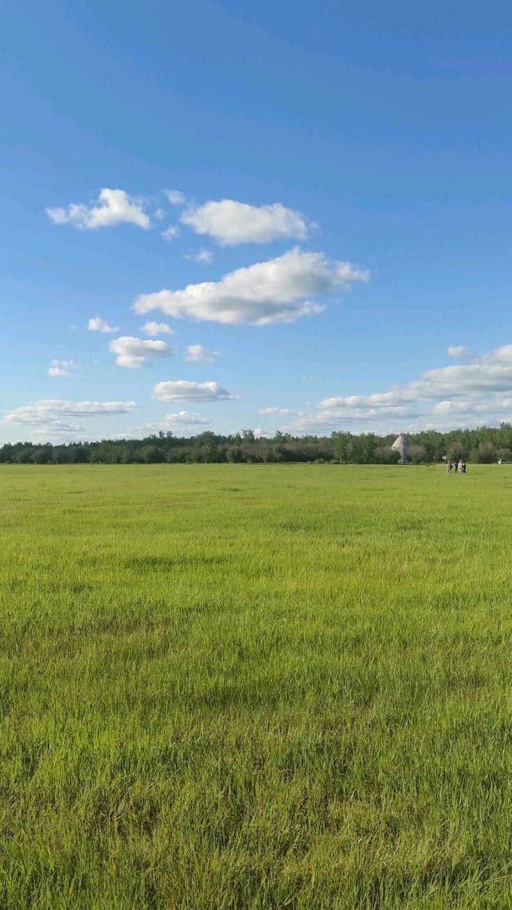 5 Marla Residential Plot For Sale In Citi Housing Phase II Multan — 1 / 1
