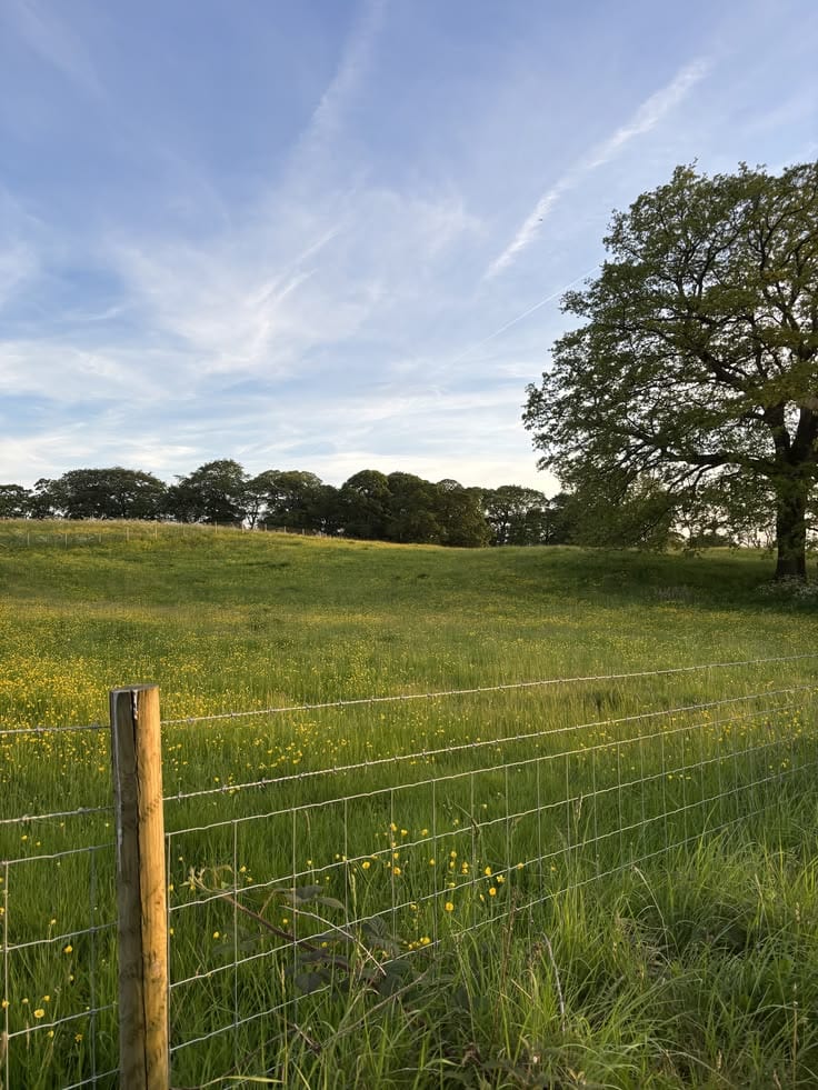 5 Marla Residential Plot In Possession Area — 1 / 1