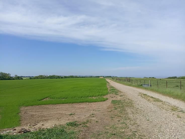 Buying A Residential Plot In Dream Gardens - Phase 2 (Inter City) Multan? — 1 / 1