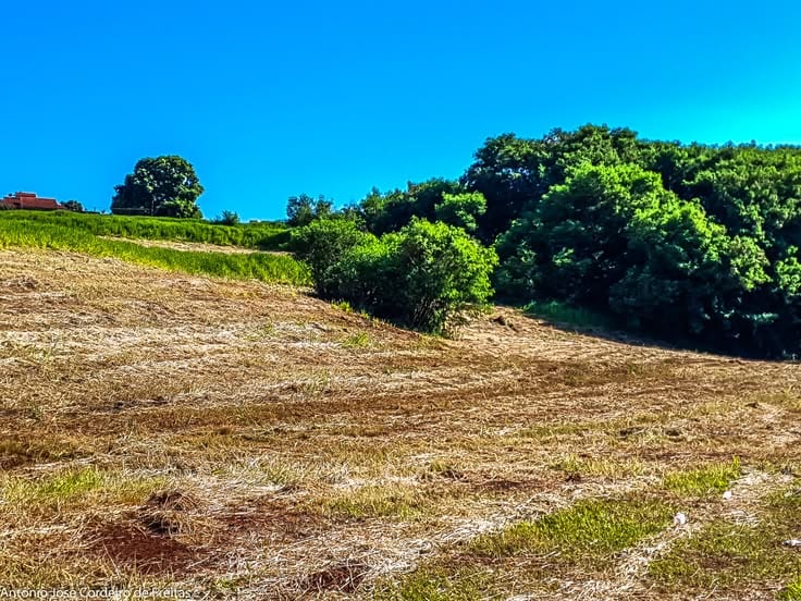 10 Marla Residential Plot Ideally Situated In Citi Housing Phase 2 — 1 / 1
