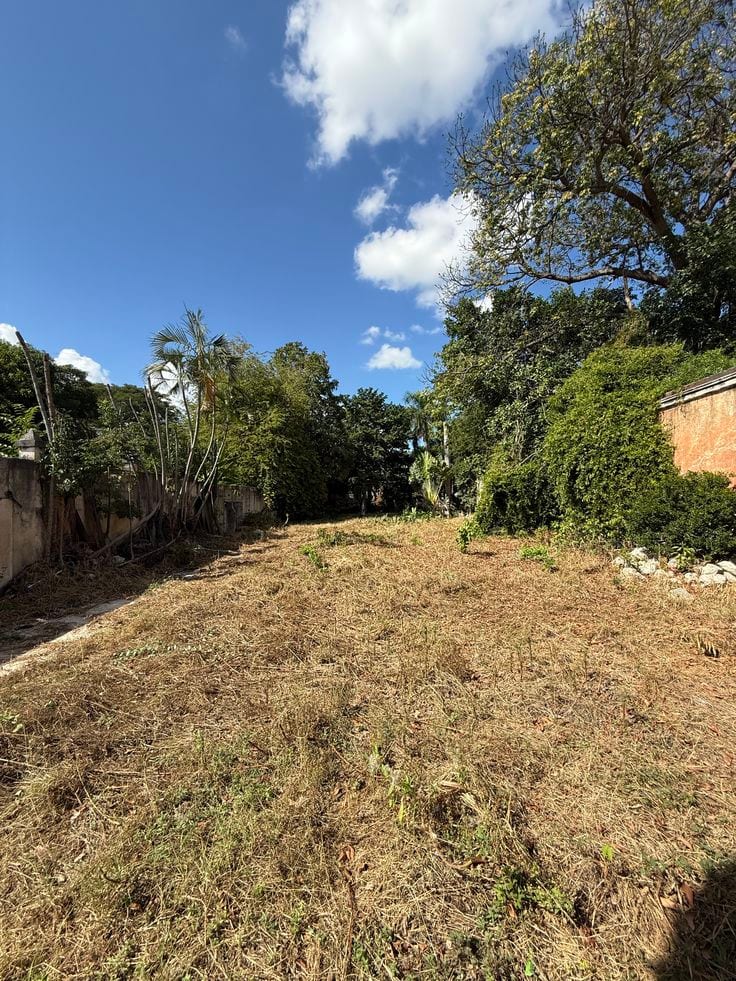 INVESTOR RATE PLOT FOR SALE — 1 / 1