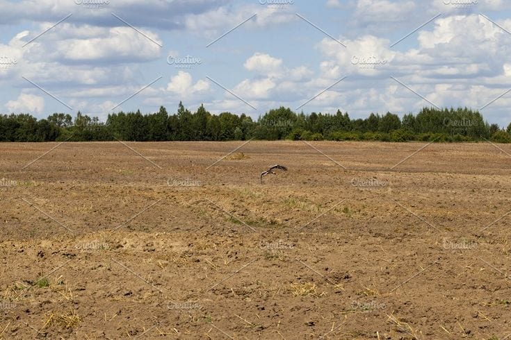 lot 54480855 Back to Search Centrally Located Residential Plot In Wapda Town Phase 2 Is Available For Sale — 1 / 1