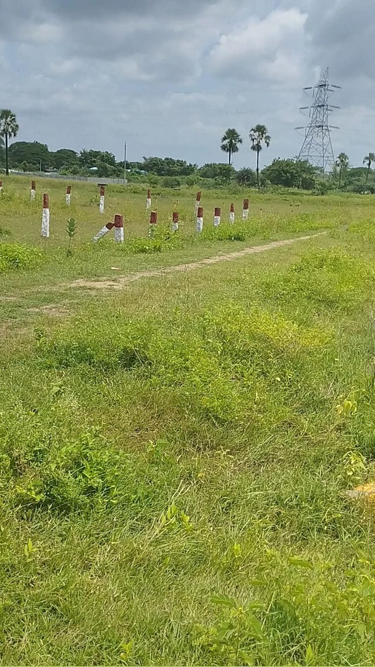 Prime Location Residential Plot Sized 20 Marla Is Available For Sale In Wapda Town Phase 2 - Block Q — 1 / 1
