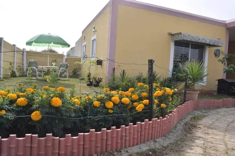 55 Crore Your Dream Fully Furnished 51 Marla House Is Available In DHA — 1 / 1