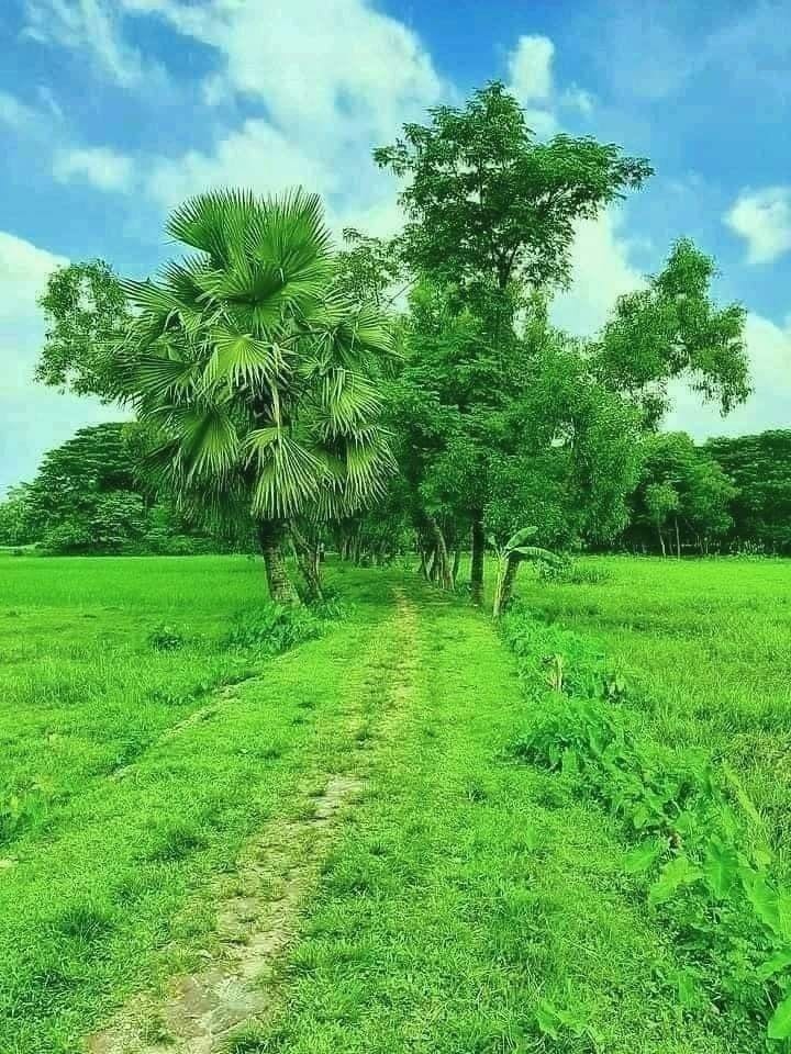 5 Marla Spacious Residential Plot Available In Royal Orchard - Block F For sale — 1 / 1