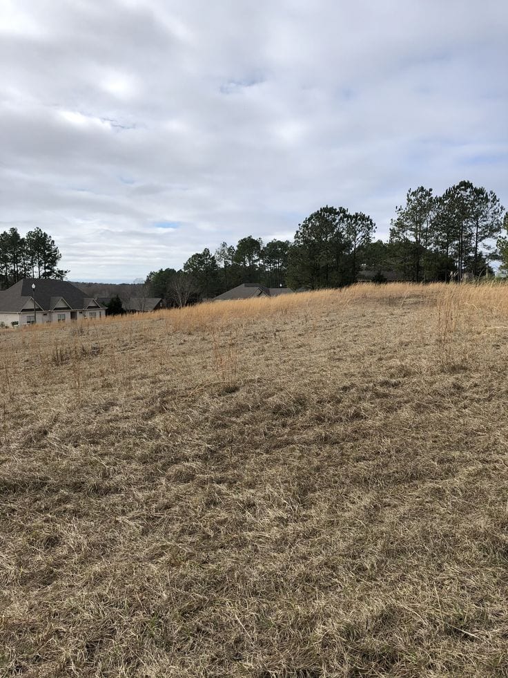 Prime Location Plot Is Available For Sale — 1 / 1