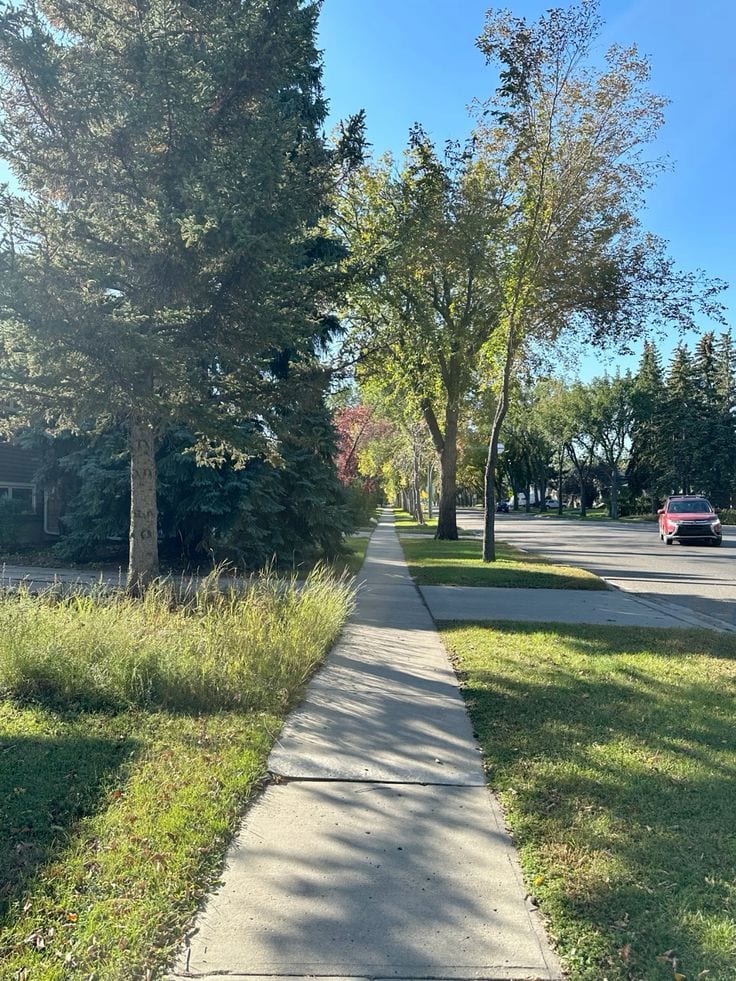 20 Marla Residential Plot For Sale In Royal Orchard - Executive Block — 1 / 1
