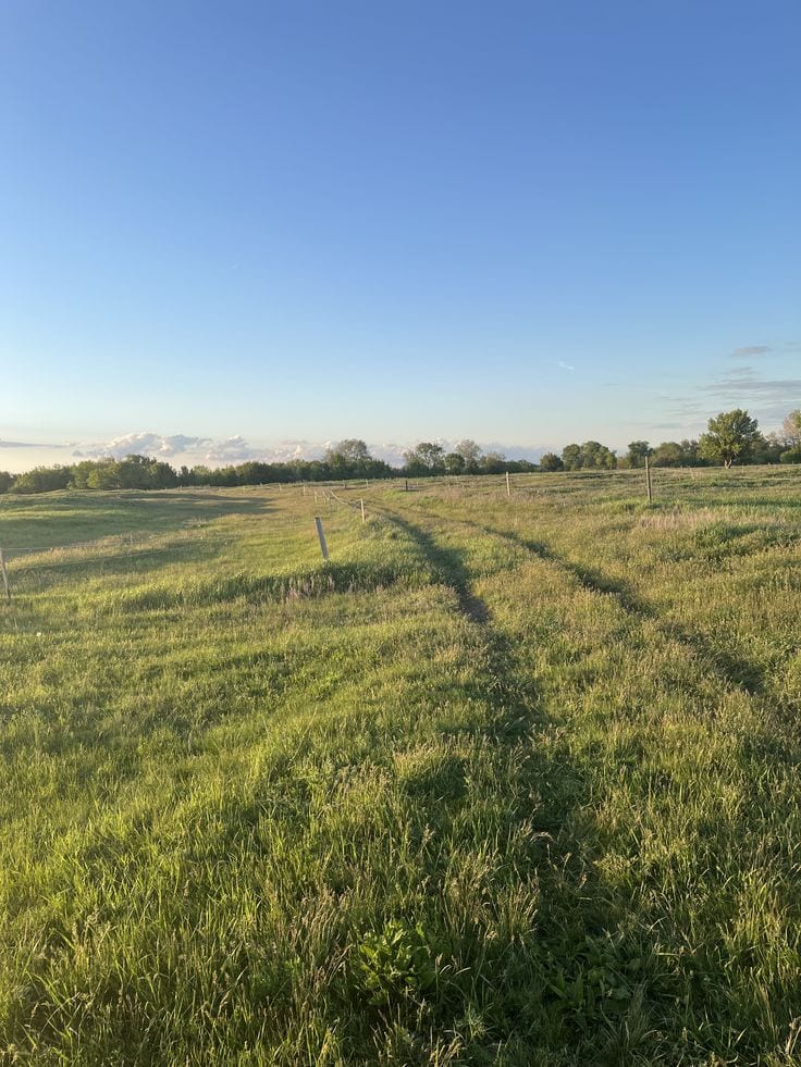 10 Marla Residential Plot Near Park And Mosque — 1 / 1