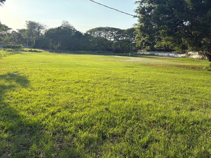 10 MarlaCorner With Extra Land Plot For Sale In DHA Sector B1 — 1 / 1