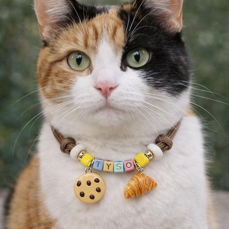 Handmade Premium Collars For Cats — 1 / 1