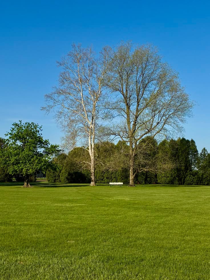 5 Marla Plot For Sale With Multiple Category'S Best Location In Citi Housing Phase II — 1 / 1
