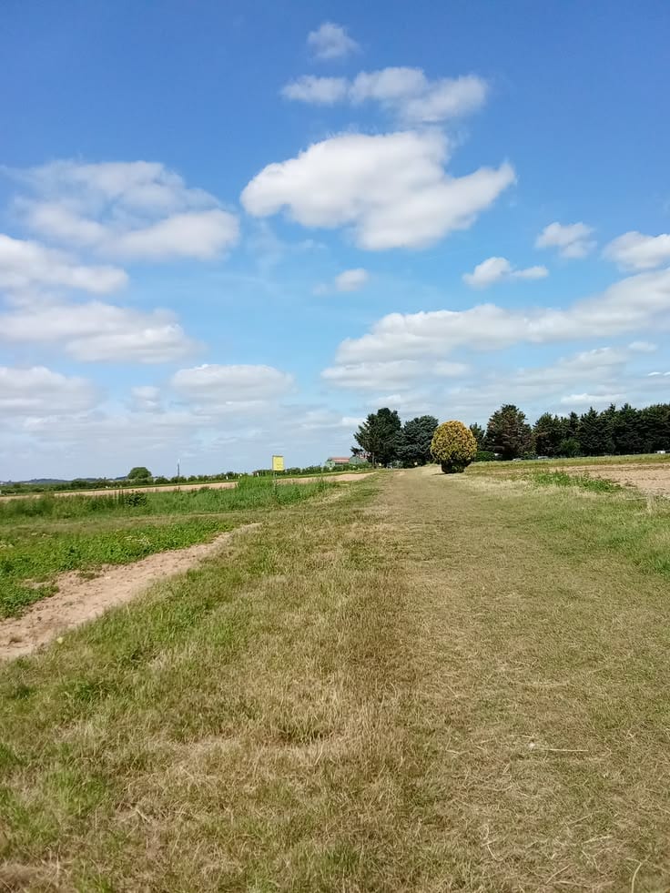 Ideal Prime Location 5 Marla Residential Plot Has Landed On Market In Citi Housing Phase 2, Multan — 1 / 1