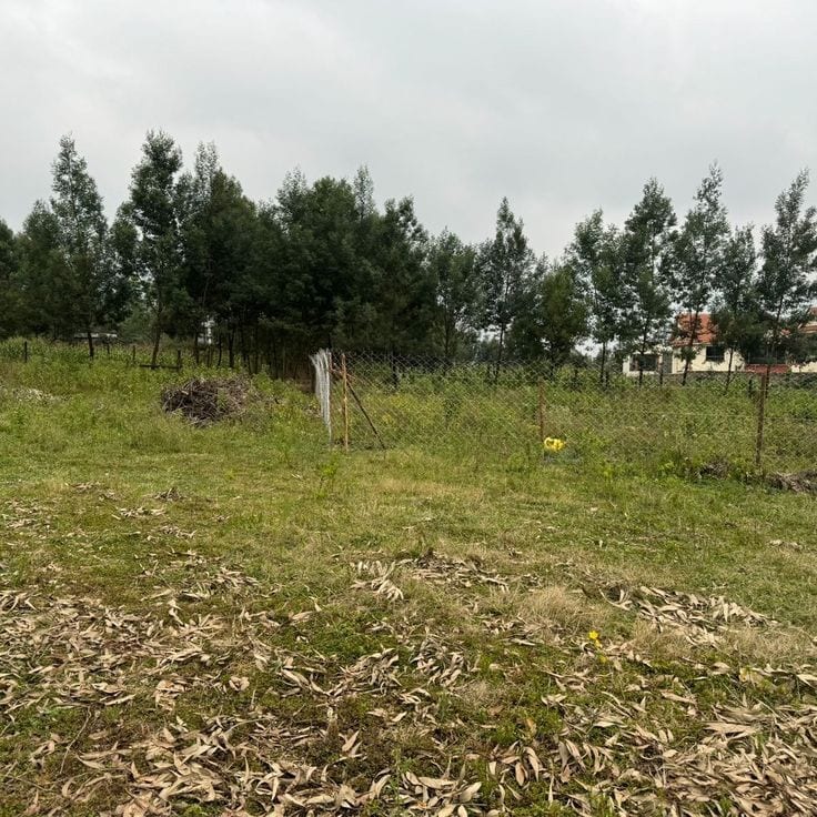 Corner 65ft Road , Near Ring Road 10 Marla — 1 / 1