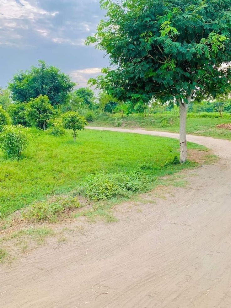 Find Your Ideal Residential Plot In Multan — 1 / 1