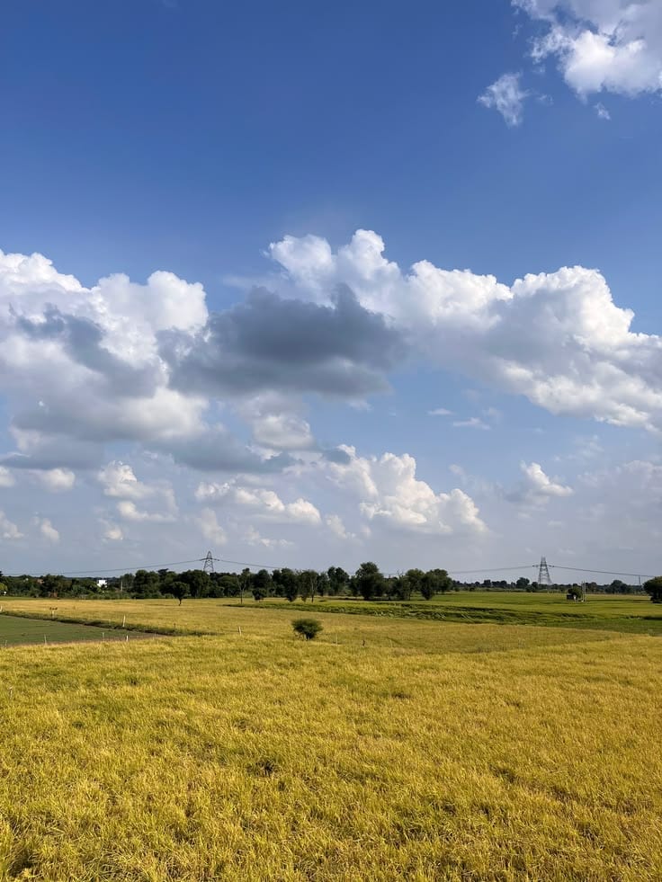 Prime Location Residential Plot In Citi Housing - Block D Sized 5 Marla Is Available — 1 / 1
