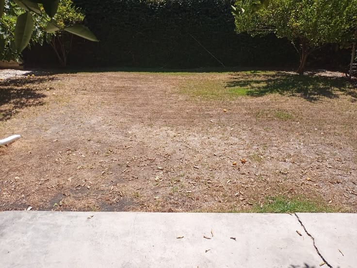 Get In Touch Now To Buy A 7 Marla Residential Plot In Royal Orchard - Executive Block Multan — 1 / 1