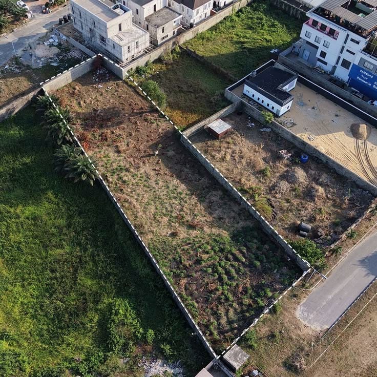 B1 Top Of The Line Plot Available For Sale — 1 / 1