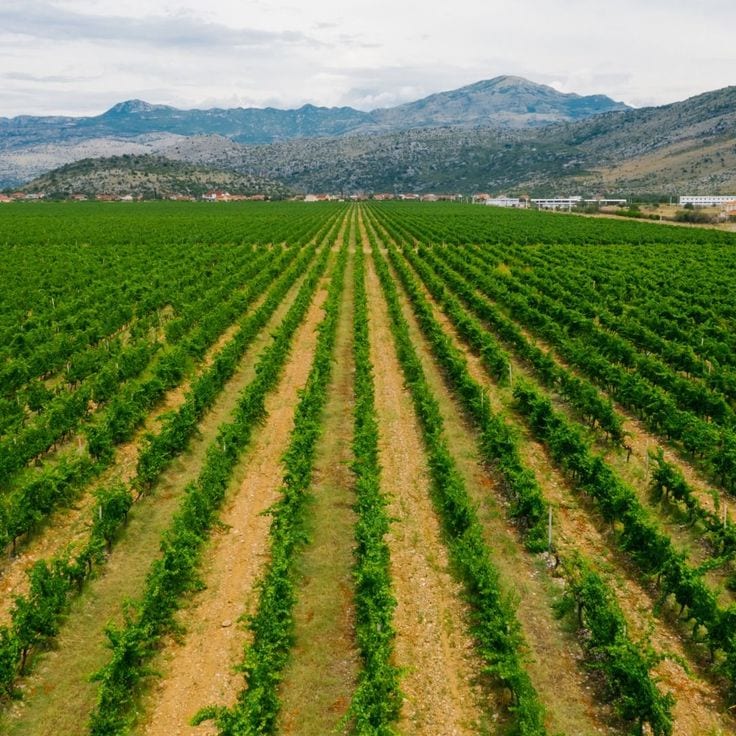 3000 kanal Land M2 facing Kalar kahar Chakwal — 1 / 1